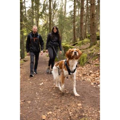 Harnais pour chien SYMBIOZ XL Noir/Bleu - Confort et style