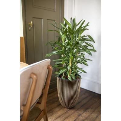 Cache-pot chic et élégant: Capi Vase Groove noir et doré 46x58 cm