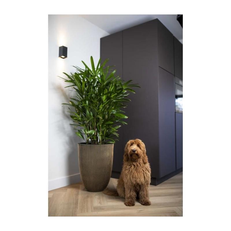 Cache-pot chic et élégant: Capi Vase Groove noir et doré 46x58 cm