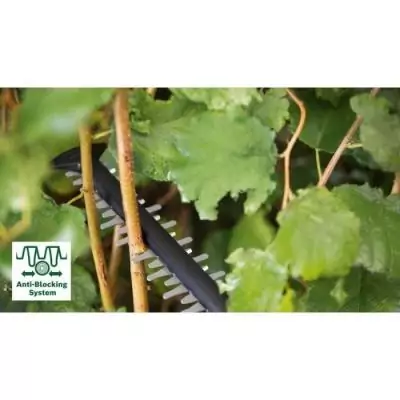 Taille-haie avancé 36V-65-28 NU