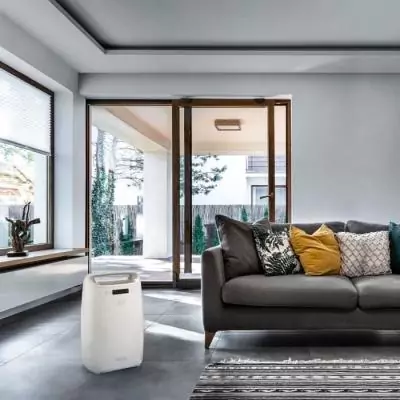 Déshumidificateur Delonghi DEXD214RF - Contrôlez l'humidité!