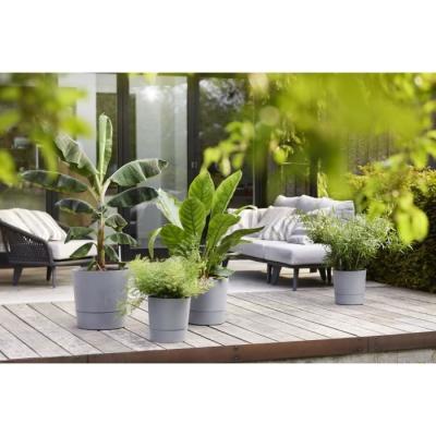 Pot de fleur Elho carré Greensense Aqua Care 29,5 x 29,5 x H29,1 cm 15 L