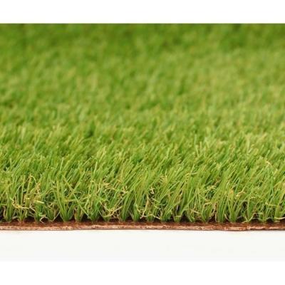 Gazon synthétique Exelgreen Campus 25mm - Qualité Premium