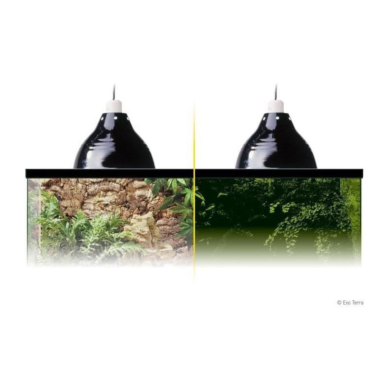 Lampe d'éclairage pour terrarium - EXO TERRA Glow Light S - Éclairez vos reptiles !