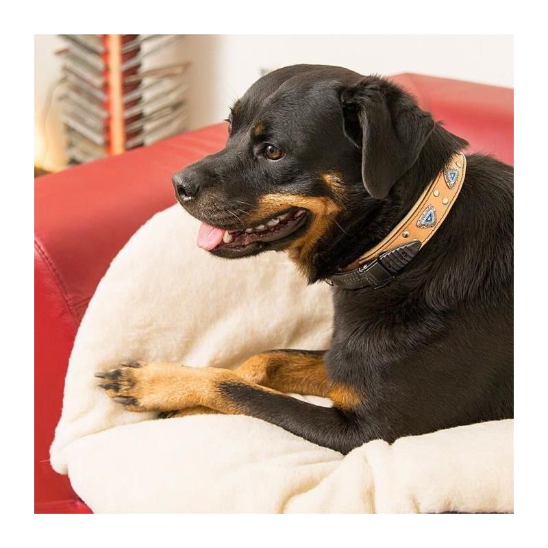 Coussin doux pour chat ou chien - FERPLAST RELAX 55/4