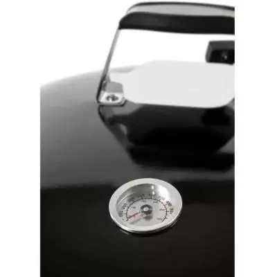 Barbecue au charbon de bois Fieldmann - FZG 1016: Profitez des grillades en plein air