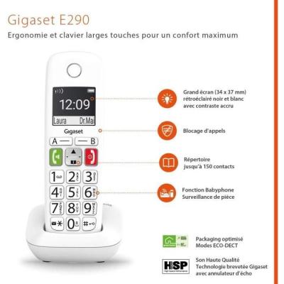 Téléphone Fixe sans Fil - GIGASET E290 Duo Blanc - Son Amplifié