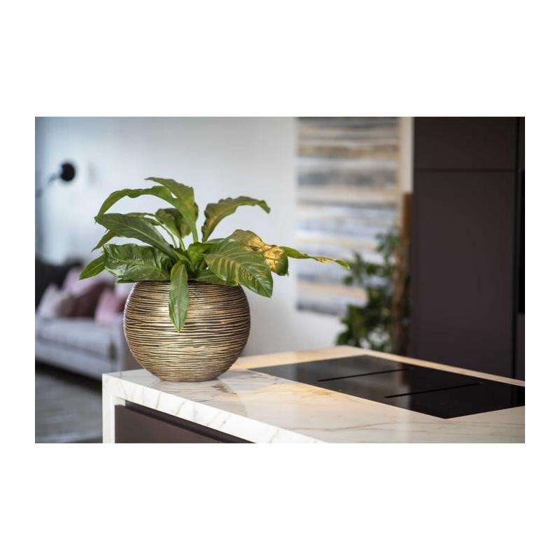 Vase boule CAPI EUROPE Noir / Or - 40 x 32 cm • RIB NL • POT DE FLEUR
