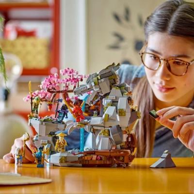 LEGO NINJAGO 71819: Le Sanctuaire des Ninjas!