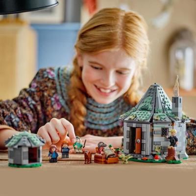 Découvrez la magie avec LEGO Harry Potter 76428 La Cabane de Hagrid