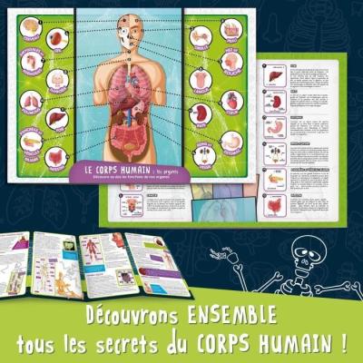 Exploration ludique du corps humain - Kit scientifique - Modele 3D