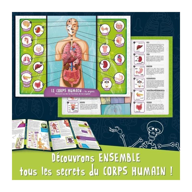 Exploration ludique du corps humain - Kit scientifique - Modele 3D