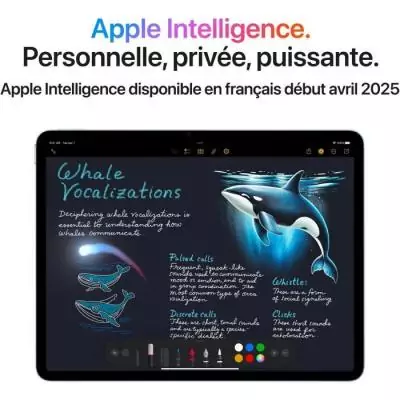 Apple iPad Air M3 (2025) 11 - Wi-Fi - 128Go - Gris sidéral - TABLETTE TACTILE Apple iPad Air M3 (2025) 11 - Wi-Fi - 128Go - Gris sidéral - TABLETTE TACTILE