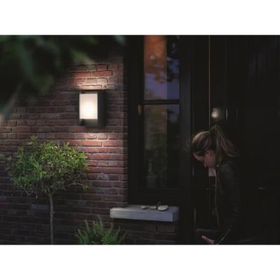 Applique extérieure LED Philips Arbour - Anthracite - 600 lm