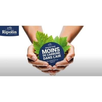 Peinture RIPOLIN PROTECTION EXTREME FACADE BLANC Mat 10 L
