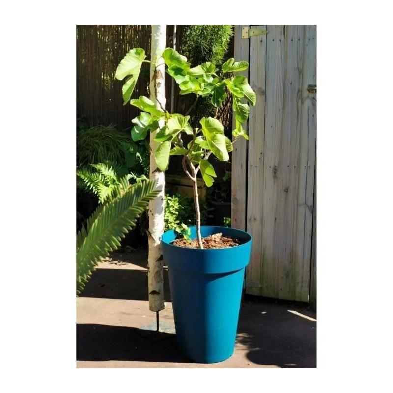 Bac à fleurs RIVIERA SOLEILLA - Éclat bleu pour votre jardin!