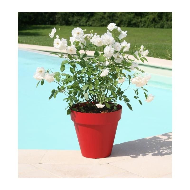Pot de fleurs Soleilla Rouge - Ø 49 x 44,8 cm - Élégance florale