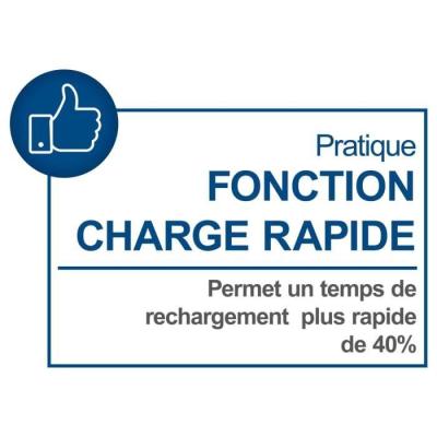 Chargeur 4.5A 20V pour SCHEPPACH 20V IXES - Batterie universelle innovante!