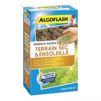 ALGOFLASH Gazon pour terrain sec ensoleillé - 1kg