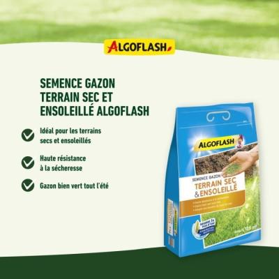 ALGOFLASH Gazon pour terrain sec ensoleillé - 1kg