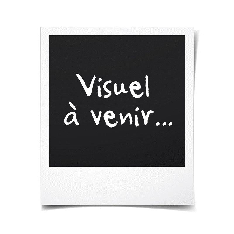 Fer à lisser Sencor SHI 131GD: lissage parfait en un clin d'œil