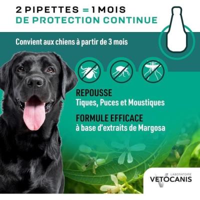 Protégez votre grand chien des parasites avec les pipettes VETOCANIS