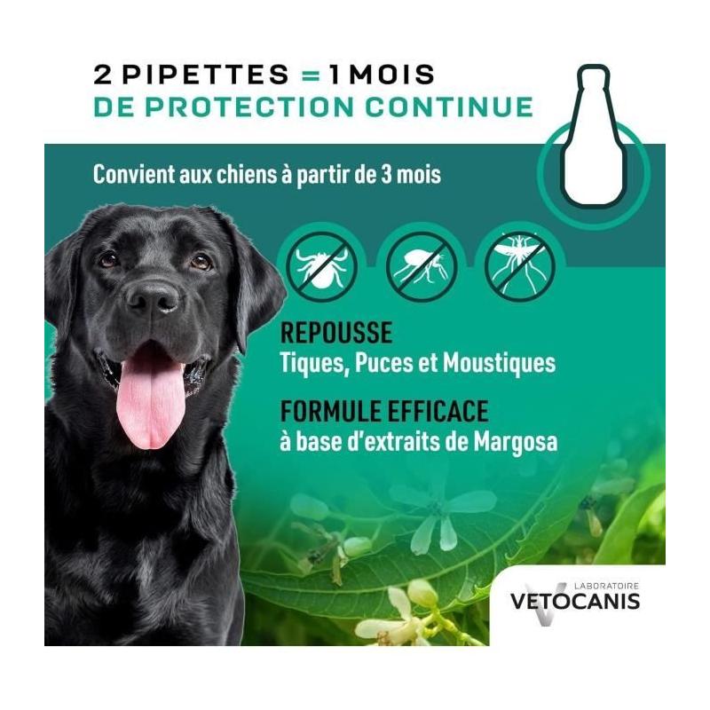 Protégez votre grand chien des parasites avec les pipettes VETOCANIS