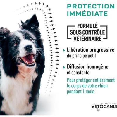 Protégez votre grand chien des parasites avec les pipettes VETOCANIS