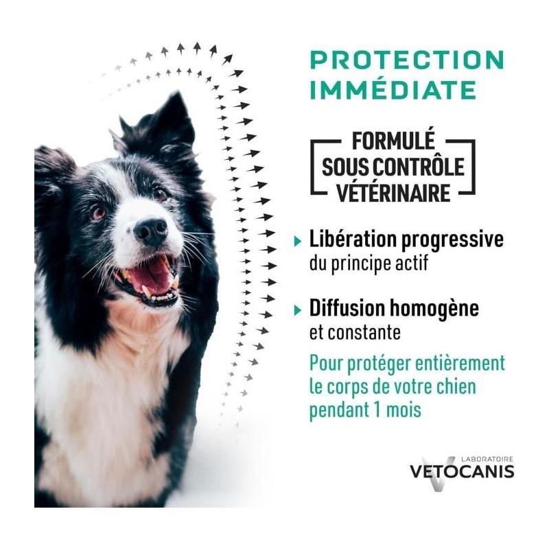 Protégez votre grand chien des parasites avec les pipettes VETOCANIS