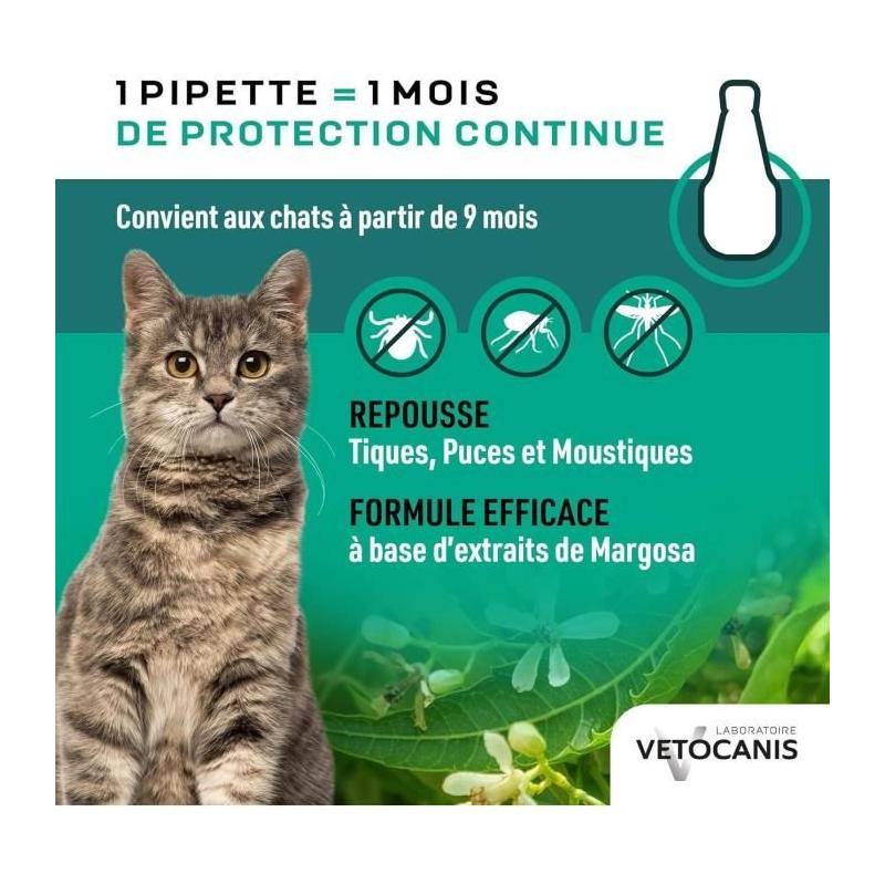 Protégez votre chat avec VETOCANIS - Pipettes anti-parasites efficaces