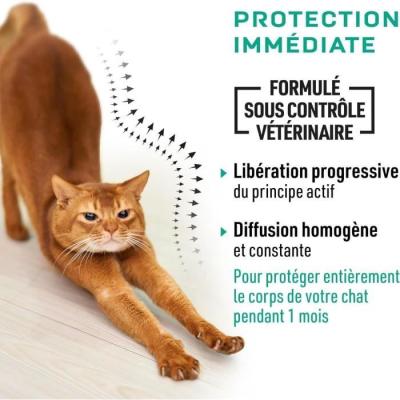 Protégez votre chat avec VETOCANIS - Pipettes anti-parasites efficaces