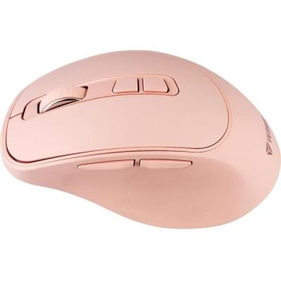 Souris sans fil rechargeable YENKEE - SLIDER