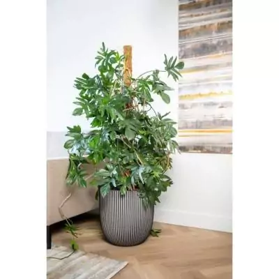 Pot de fleur boule anthracite Capi Europe Groove NL - 43 x 41 cm