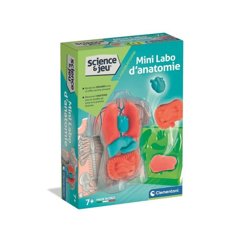 Mini Labo d'anatomie CLEMENTONI: Explorer le corps humain - CLE EVEIL