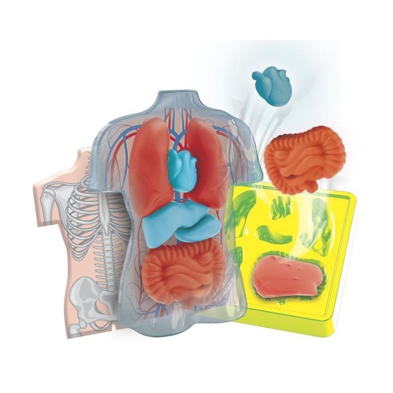 Mini Labo d'anatomie CLEMENTONI: Explorer le corps humain - CLE EVEIL