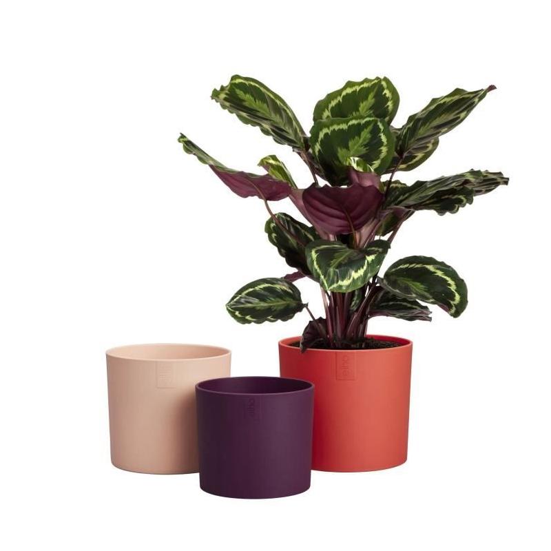 Pot de fleur Elho Lex Pott - Set 14 - Rouge Rose Violet - L 14 x B 13.8 x H 12 cm - Intérieur - 100% recyclé