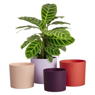 Pot de fleur Elho Lex Pott - Set 15 - Violet Rouge Rose - L 15 x B 14.8 x H 14 cm - Intérieur