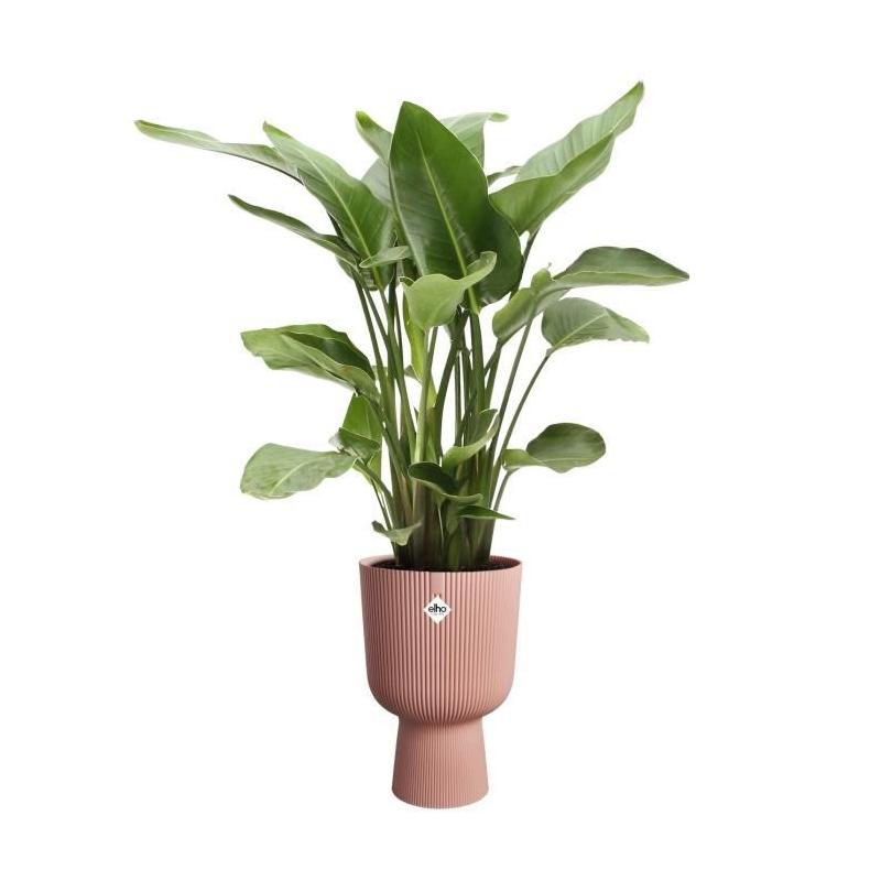 Pot de fleur élégant Elho Vibes Fold Coupe - Rose - 100% recyclé