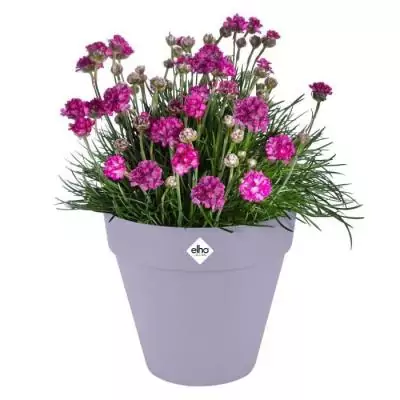 Pot de fleur Elho Loft Urban Rond Violet 29x28.5x26 cm - Extérieur - 100% recyclé Pot de fleur Elho Loft Urban Rond Violet 29x28.5x26 cm - Extérieur - 100% recyclé