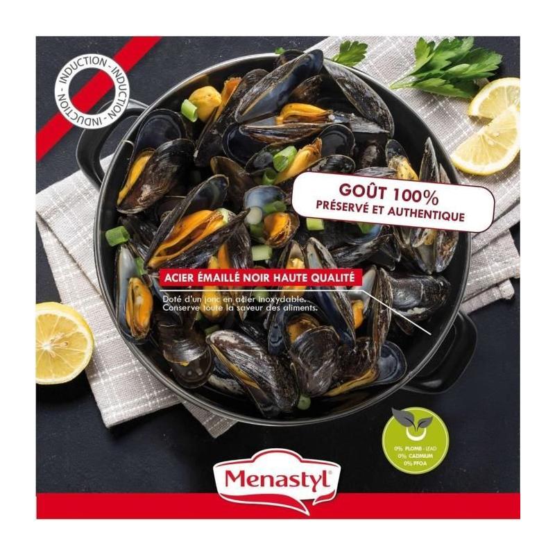 Marmite à moule MENASTYL 18 cm - Noir émaillé - 2,7L