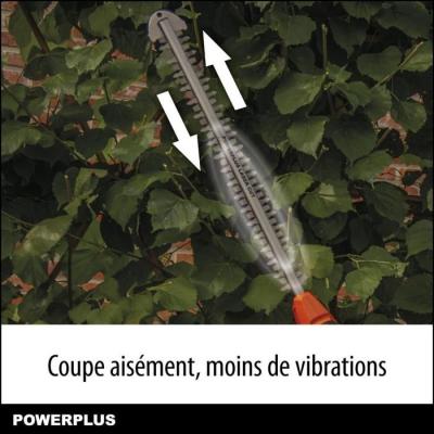 Puissant taille-haie à batterie 40V - lame 60 cm