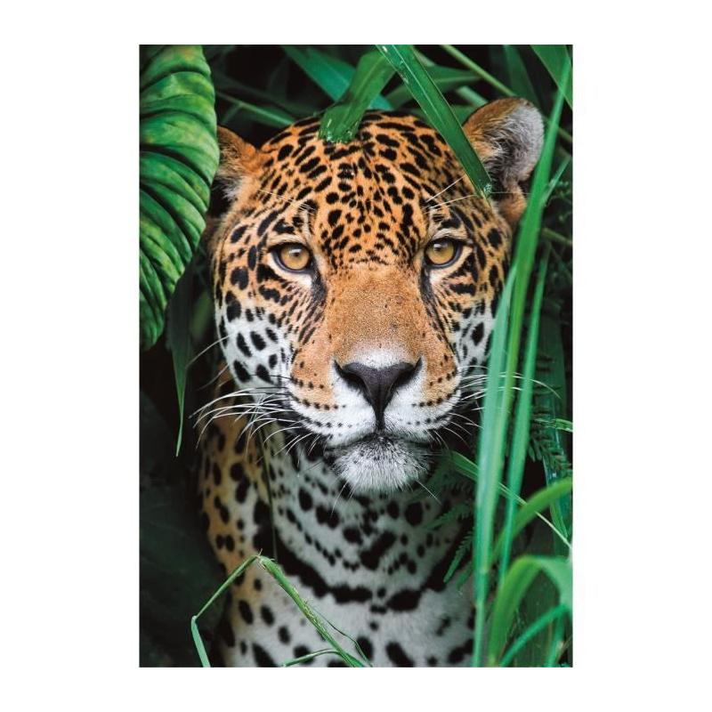 Puzzle CLEMENTONI Compact 500 pièces - Jaguar dans la jungle