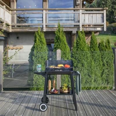 Barbecue à charbon LIVOO DOC328 - Prêt pour la grillade