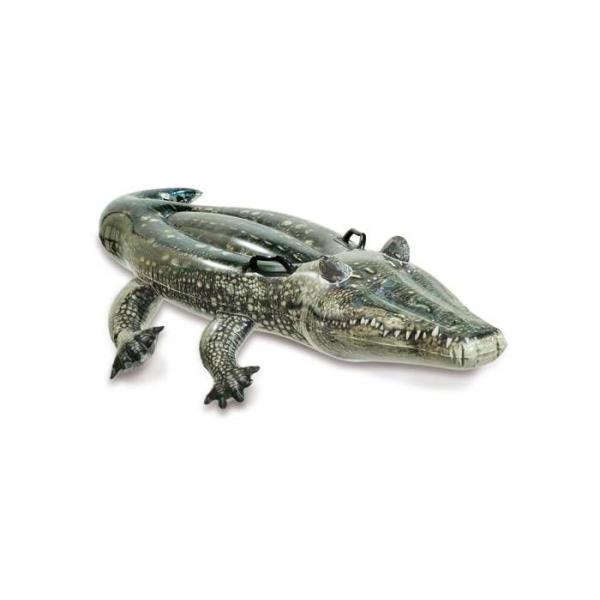 Bouée gonflable Alligator a chevaucher INTEX - Dimensions 170 x 86 cm - Pour enfants a partir de 3 ans