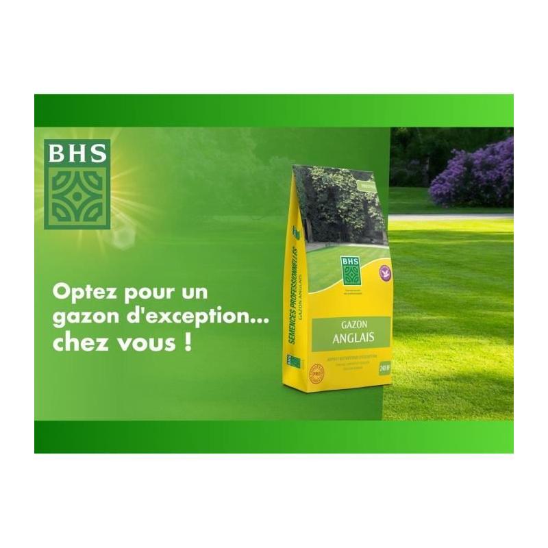 Gazon Anglais BHS - 5kg pour Jardins Haut de Gamme