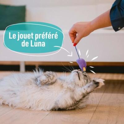7 jouets pour Chat - Des friandises AIMÉes!