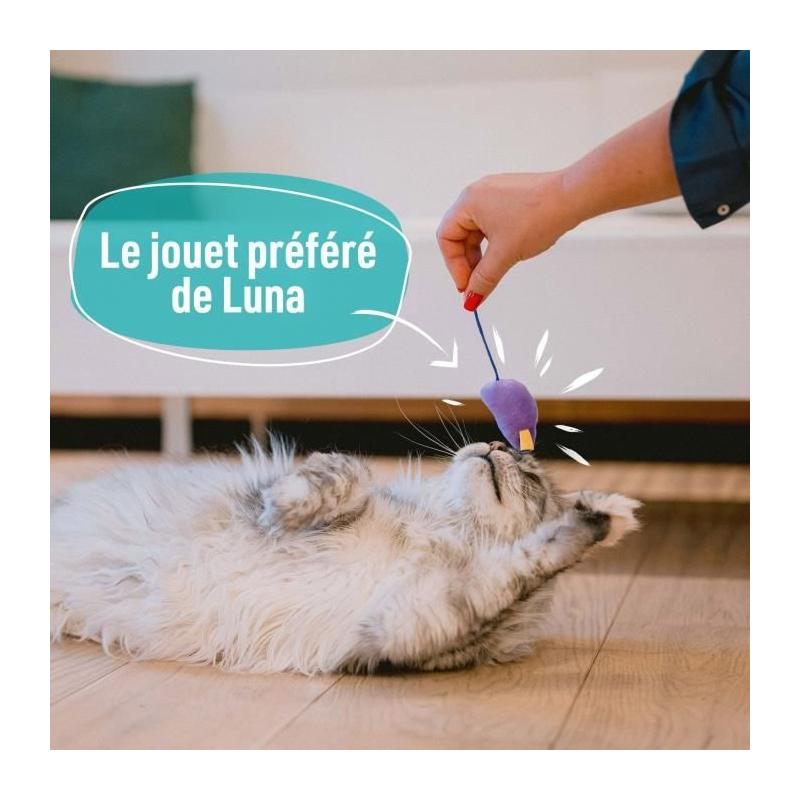 7 jouets pour Chat - Des friandises AIMÉes!