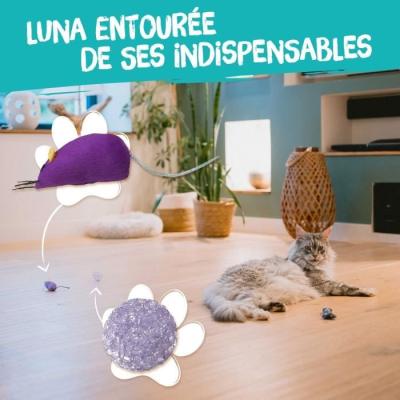 7 jouets pour Chat - Des friandises AIMÉes!