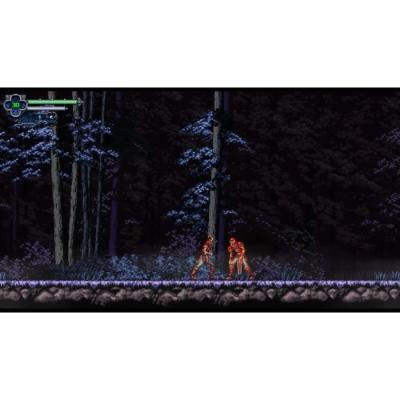 Chronicles of the Wolf - Aventure sur Nintendo Switch