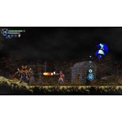 Chronicles of the Wolf - Aventure sur Nintendo Switch